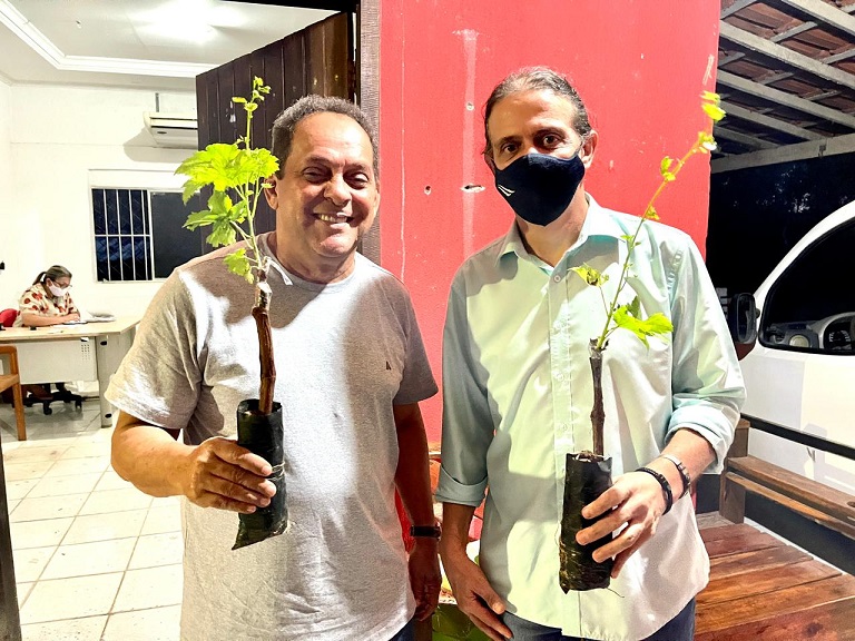 fofoca_cultivadores_28-05-21